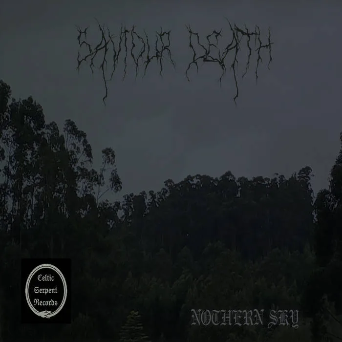 Northern Sky cover
