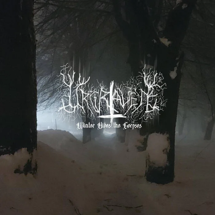 Winter Hides the Corpses cover