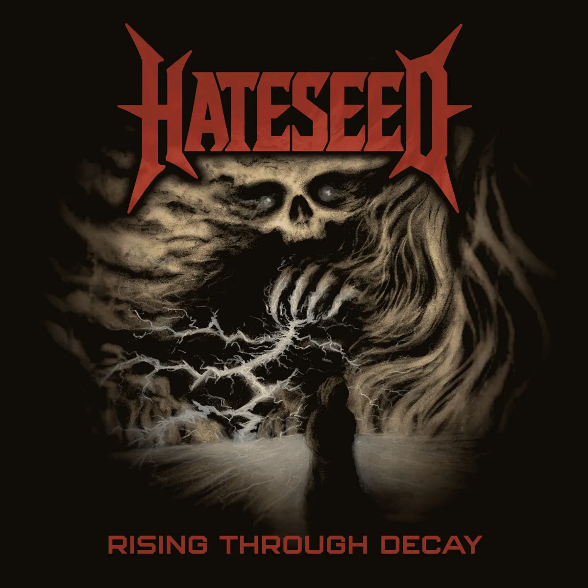 Rising Through Decay cover