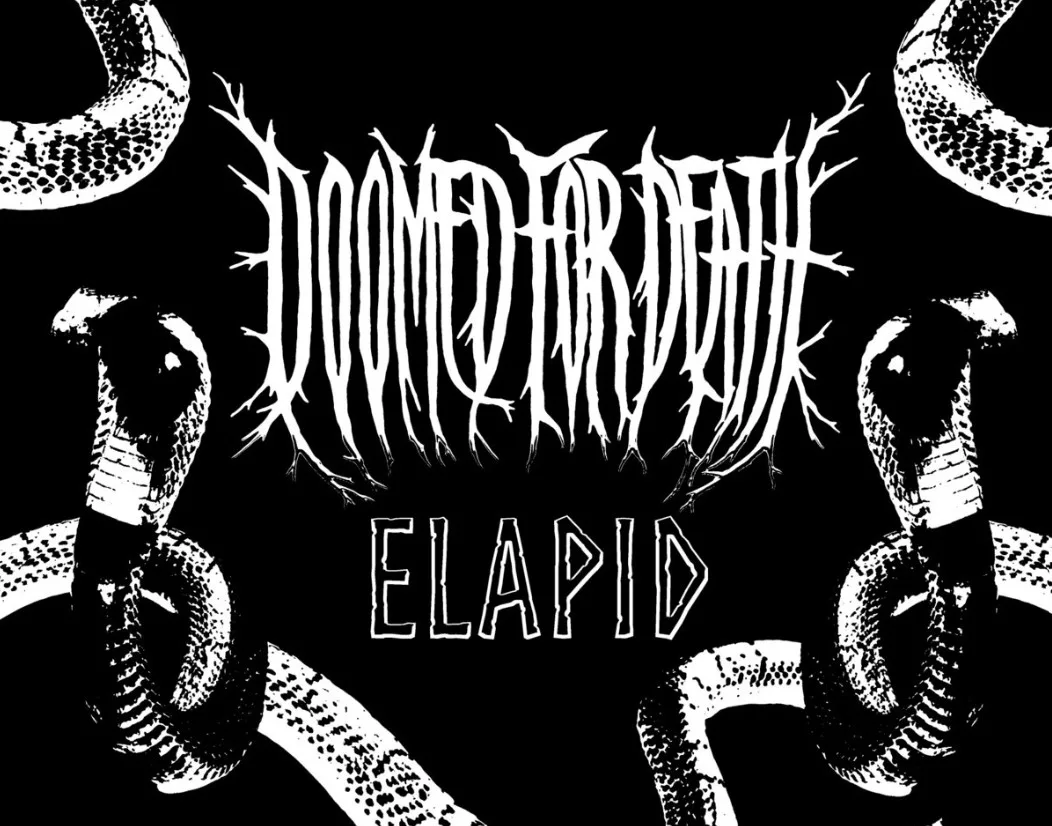 Elapid cover