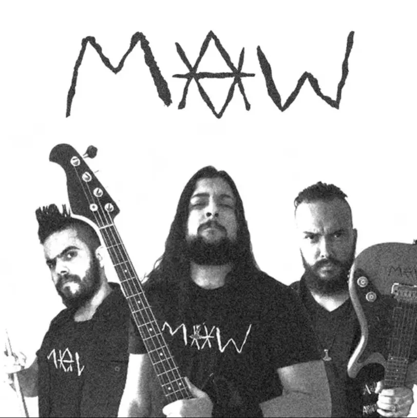 We Drink Diesel cover