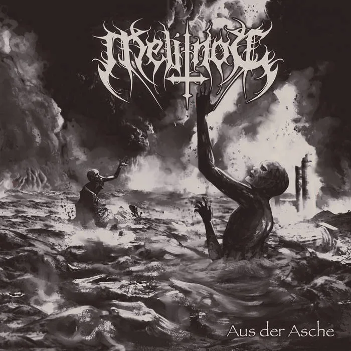 Aus der Asche cover