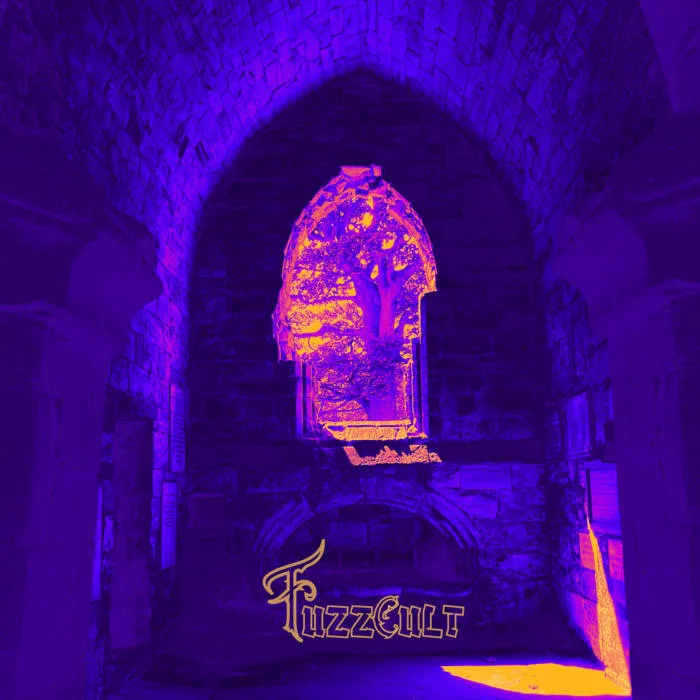 Fuzzcult cover