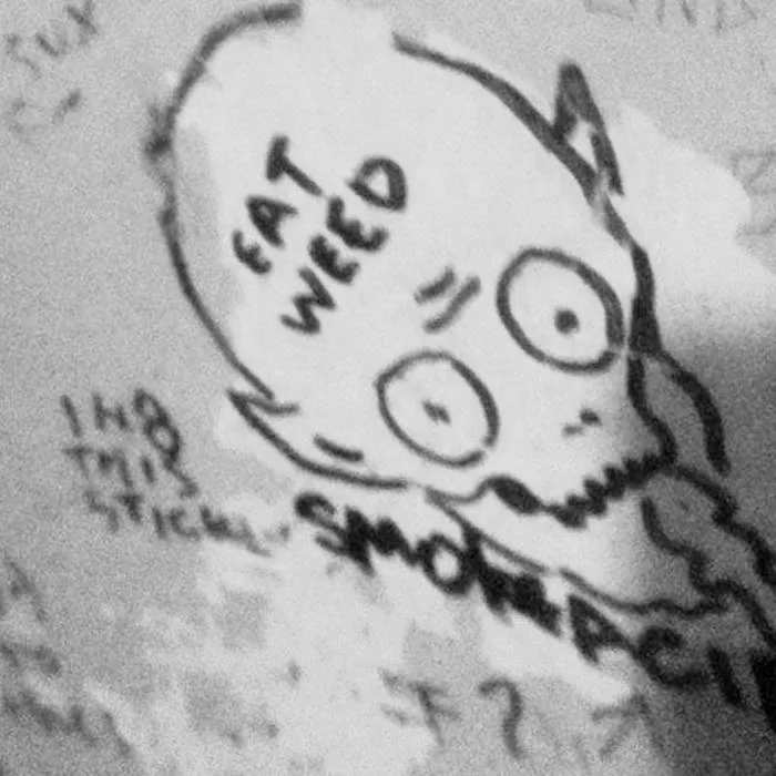 Backdoor No Grease cover