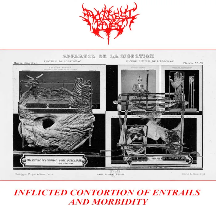 Inflicted Contortion of Entrails and Morbidity cover