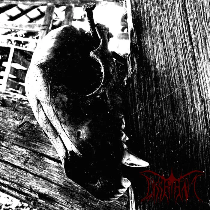 Dissepiment cover