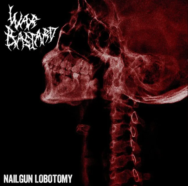 Nailgun Lobotomy cover