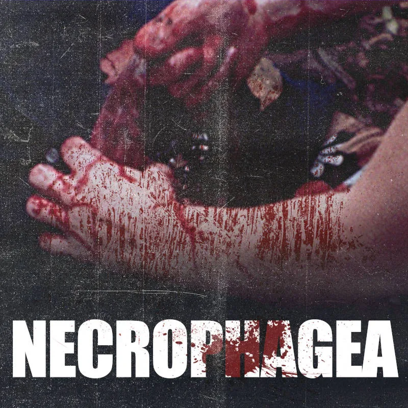 Demo #1 cover
