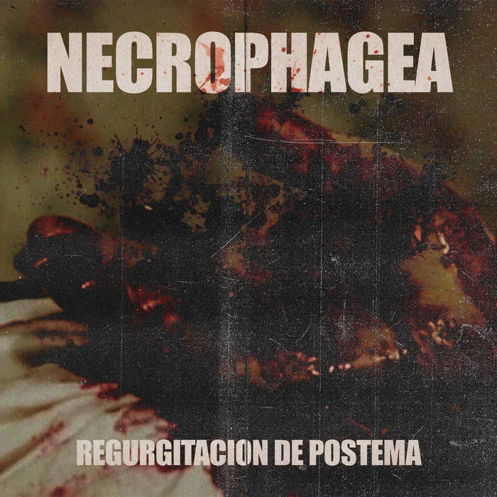 Regurgitacion de Postema cover