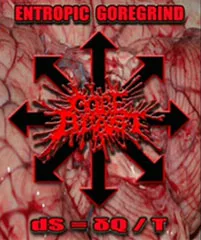 Pneumonoultramicroscopicsilicovolcanokoniosis cover