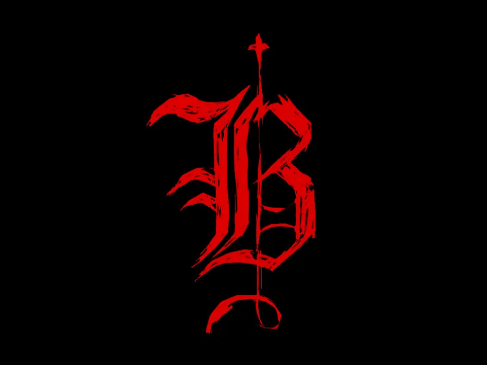 Condition Black cover