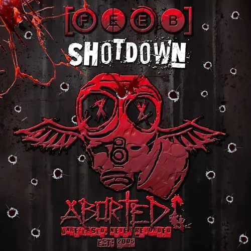 Shot Down cover