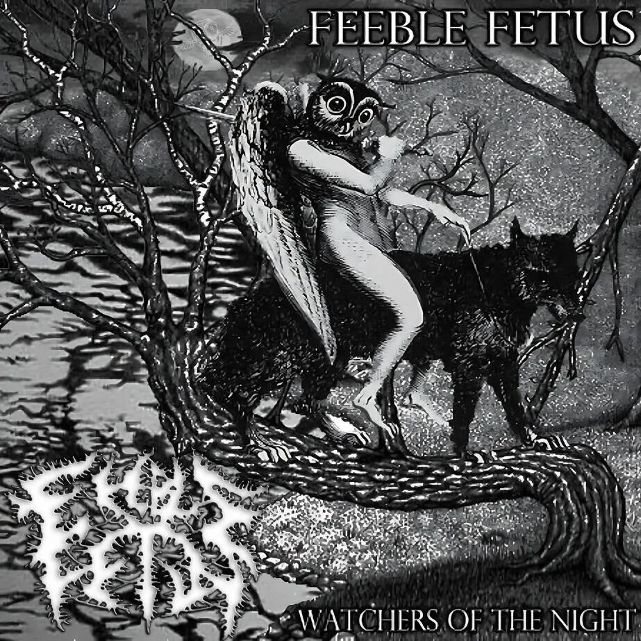 Watchers of the Night cover