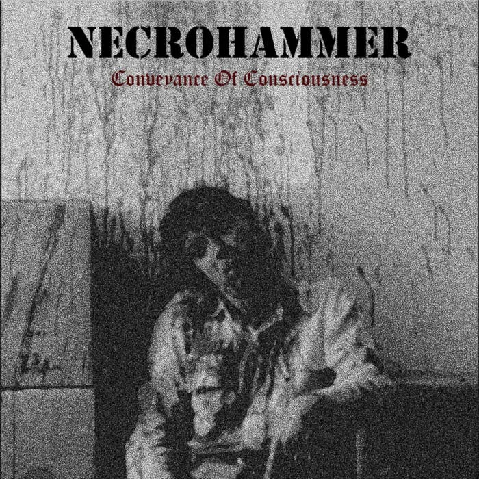 Conveyence of Consciousness cover