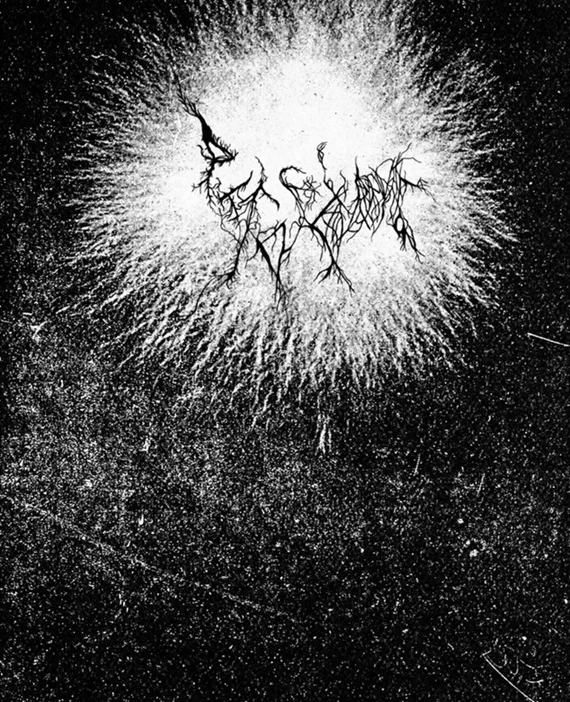Pit of Corruption cover