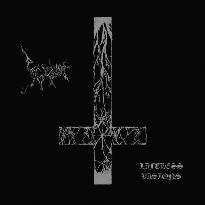 Lifeless Visions cover