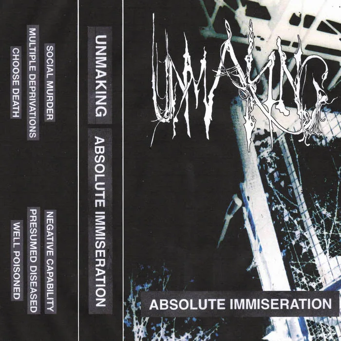 Absolute Immiseration cover