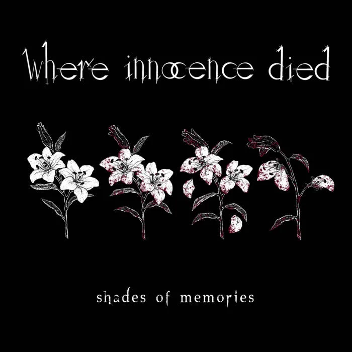 Shades of Memories cover