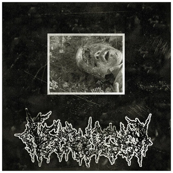 The Slaughterhouse Connection cover