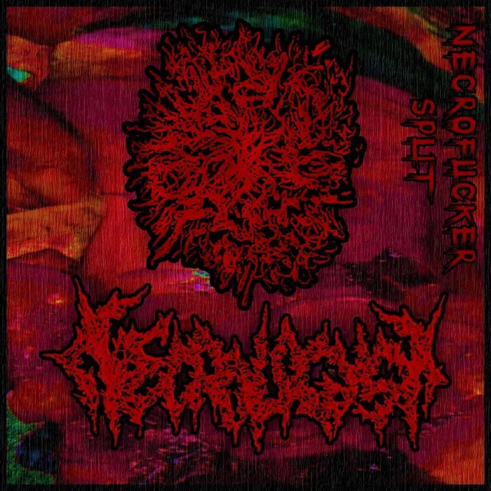 Necrofucker Split cover