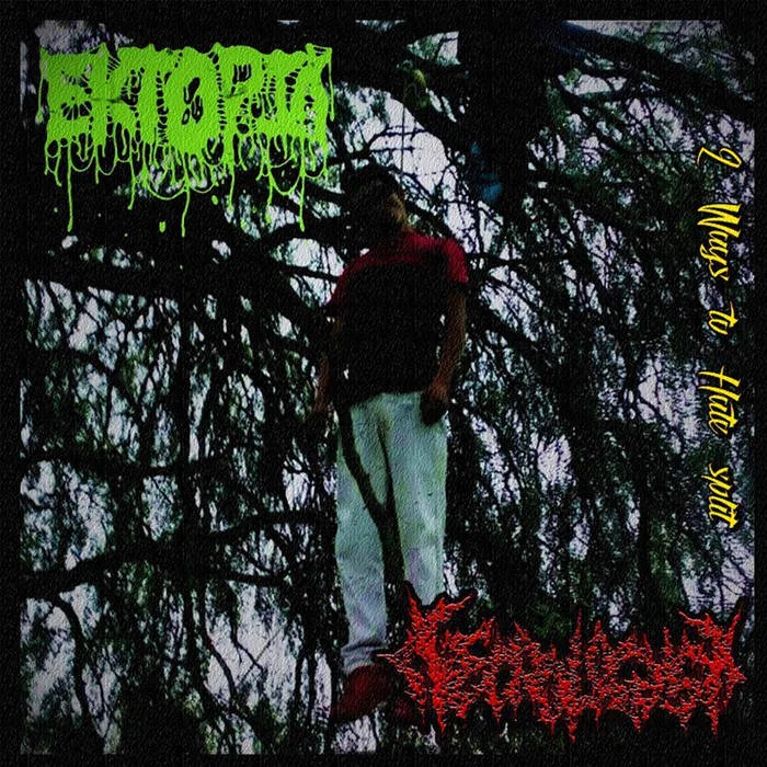 2 Ways to Hate Split cover