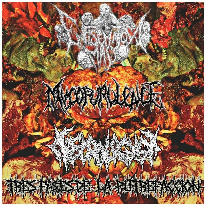 Tres fases de la putrefacción cover