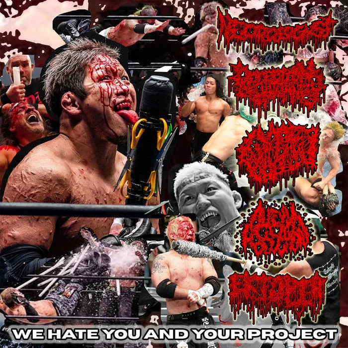 We Hate You and Your Project cover