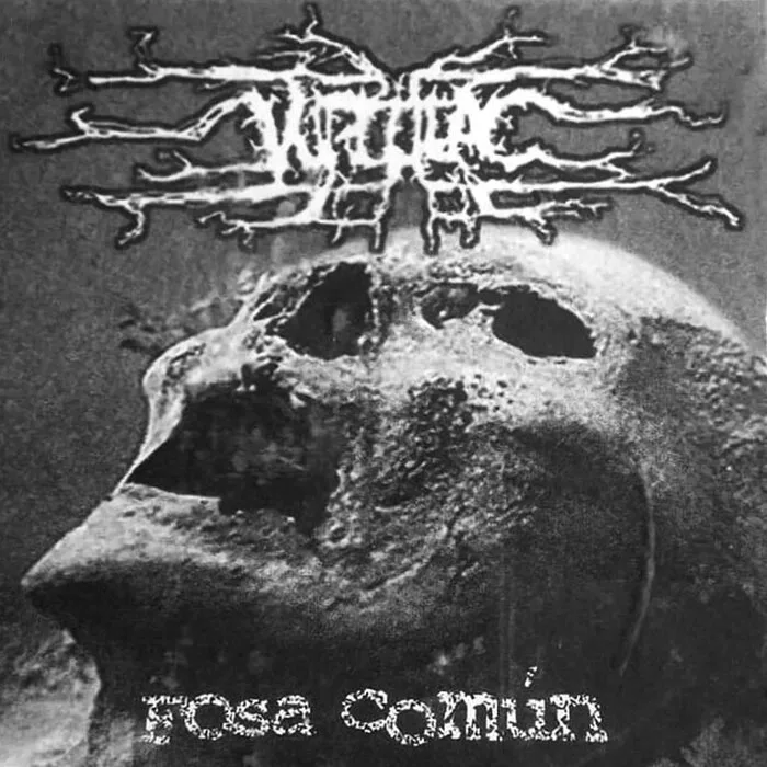 Fosa común cover