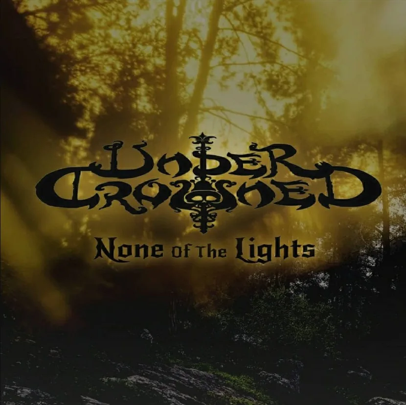 None of the Lights cover