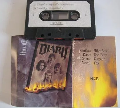 Diary cover