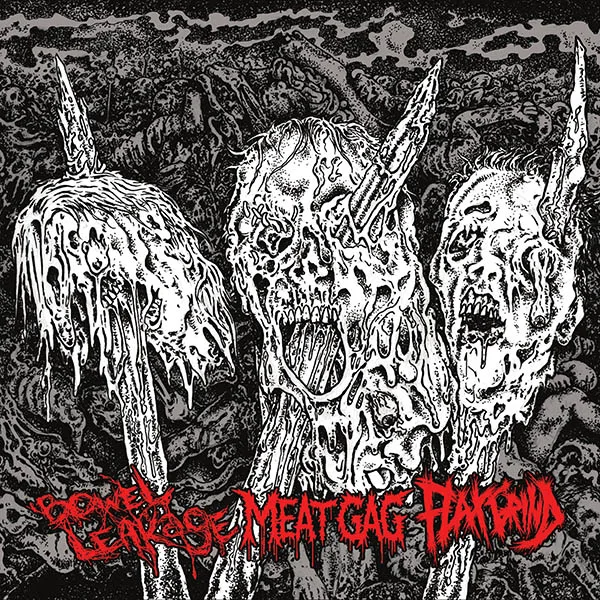 Bowel Leakage / Meatgag / Flax cover