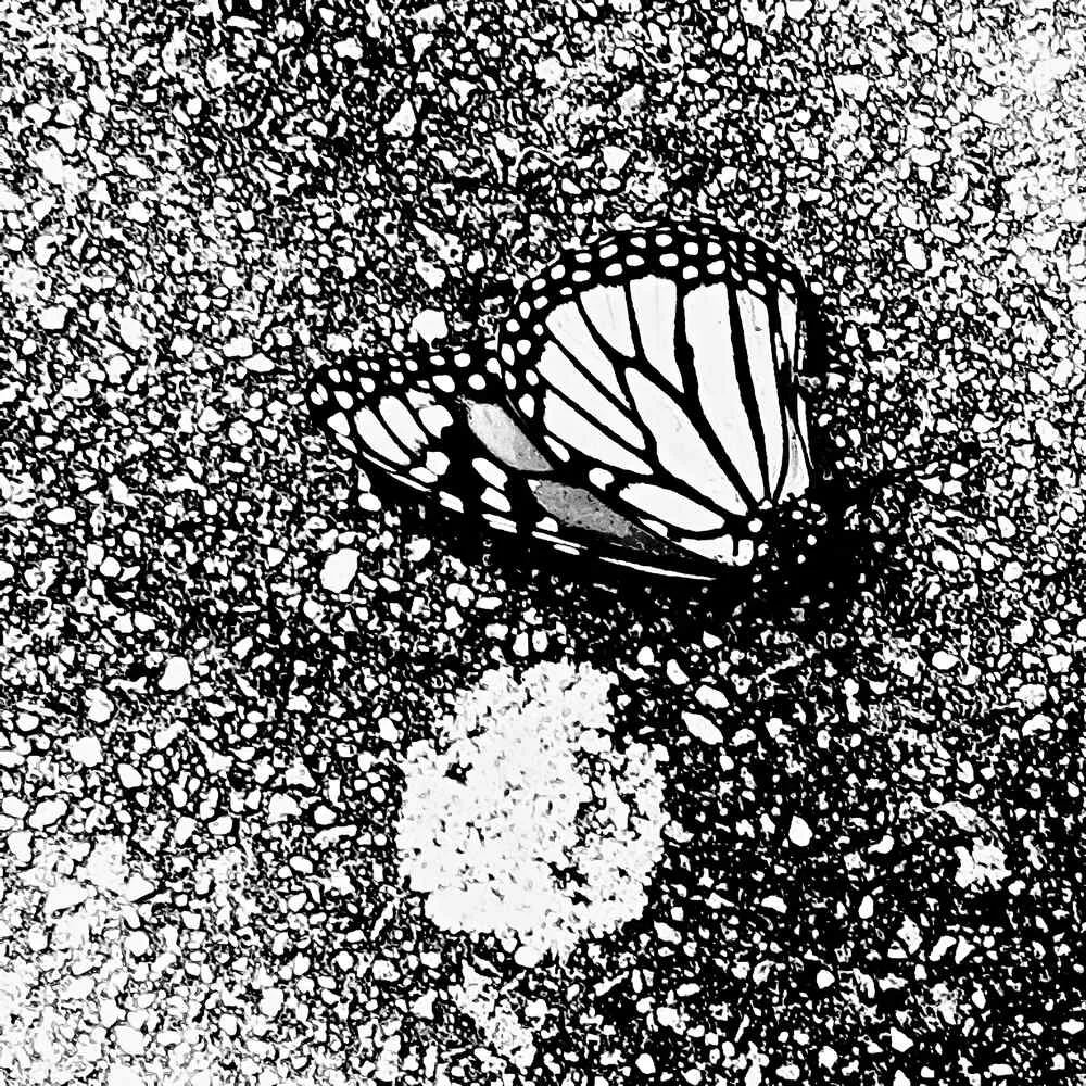 Chapter I. Dolor Et Animus Vitae cover