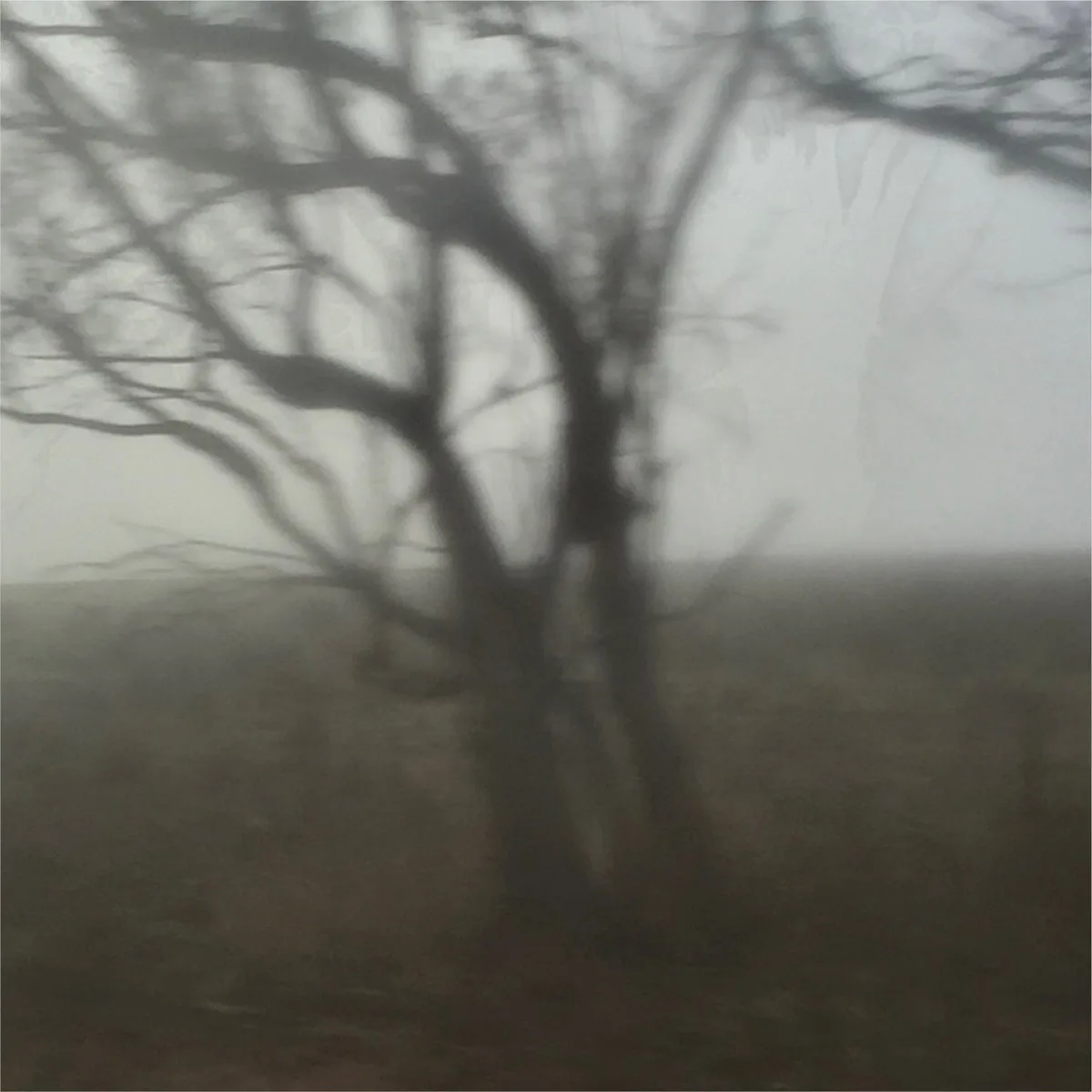 Chapter II. Misanthropic Noise cover