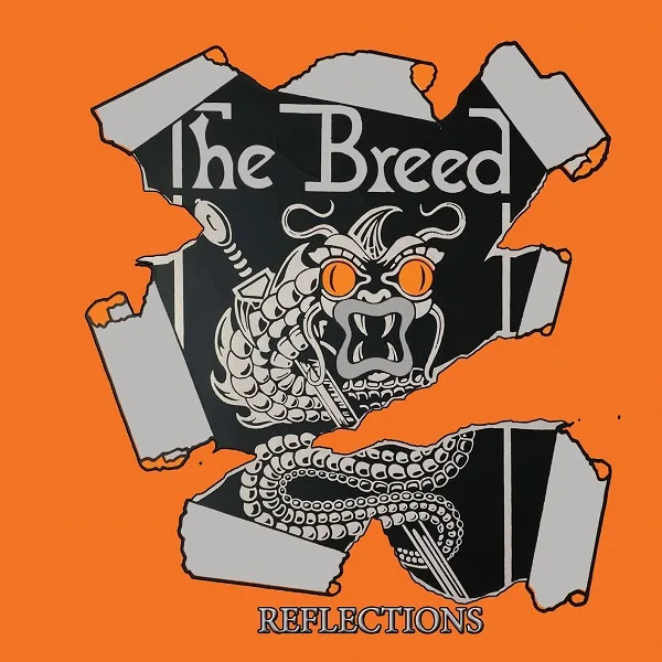 Reflections cover