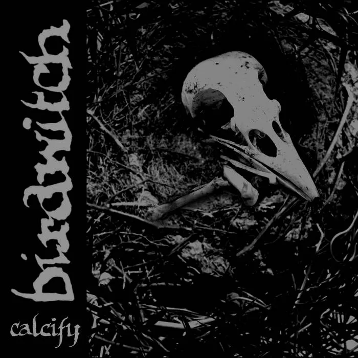Calcify cover