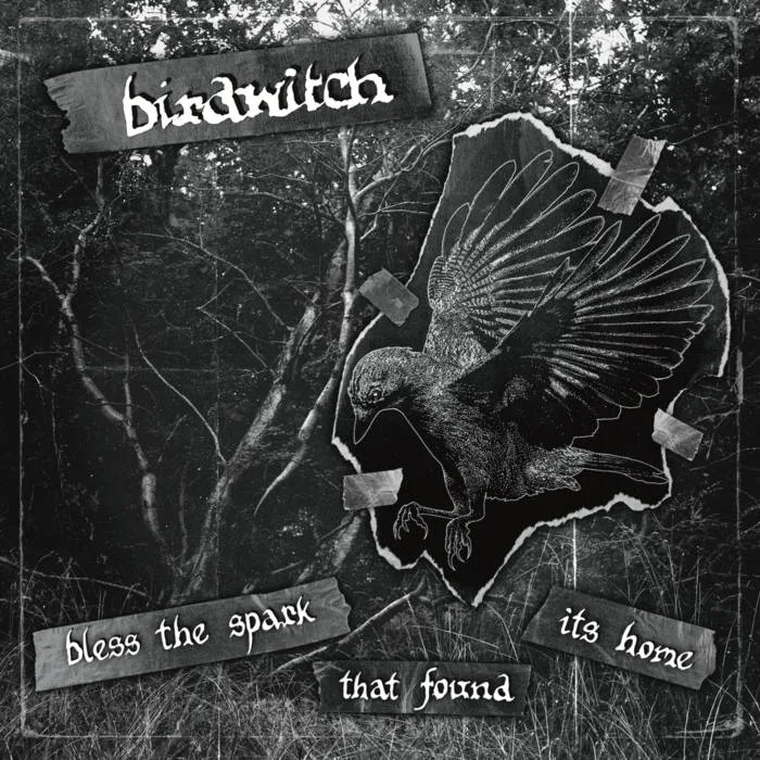 Bless the Spark That Found Its Home cover