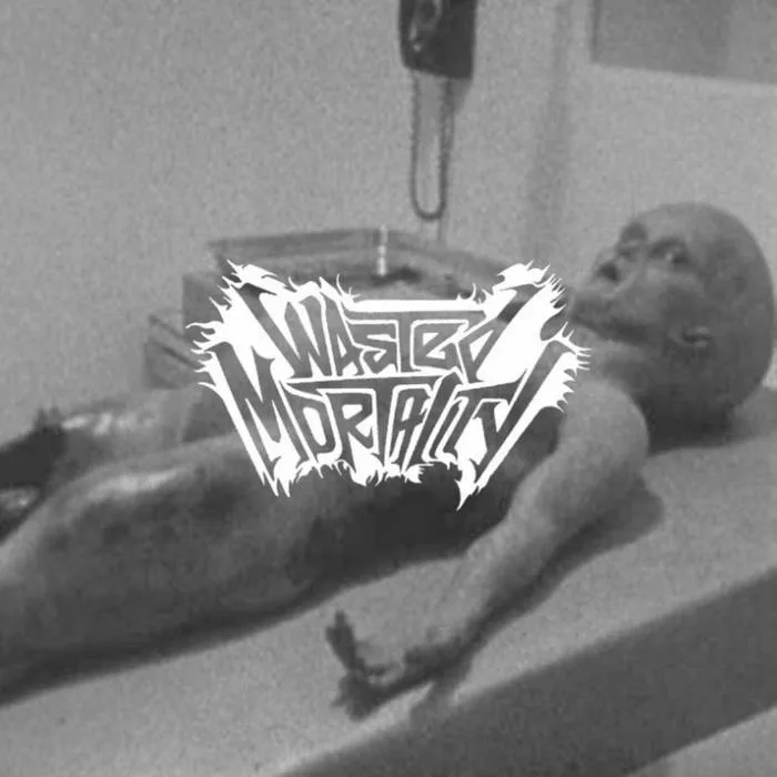 Wasted Mortality cover