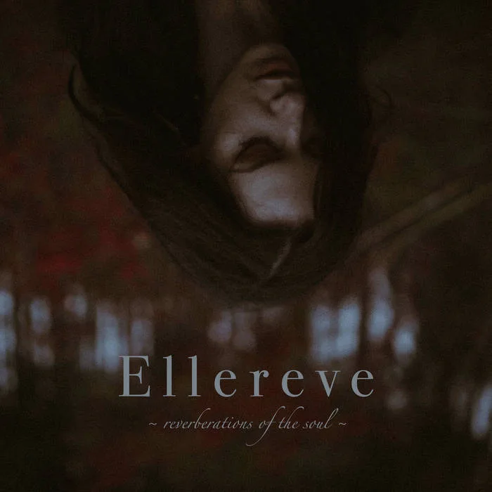 Reverberations of the Soul cover