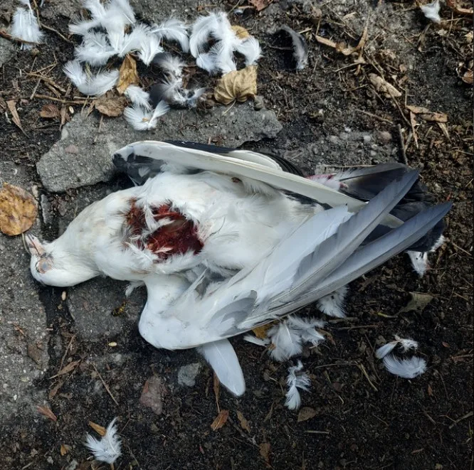 At First It's Cold cover