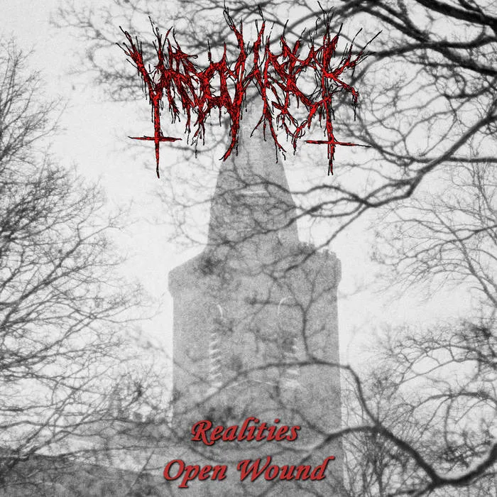 Realities Open Wound cover