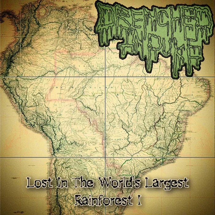 Lost in the World's Largest Rainforest cover