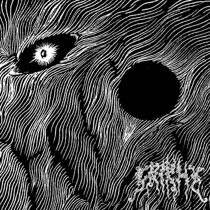 No Sleep cover