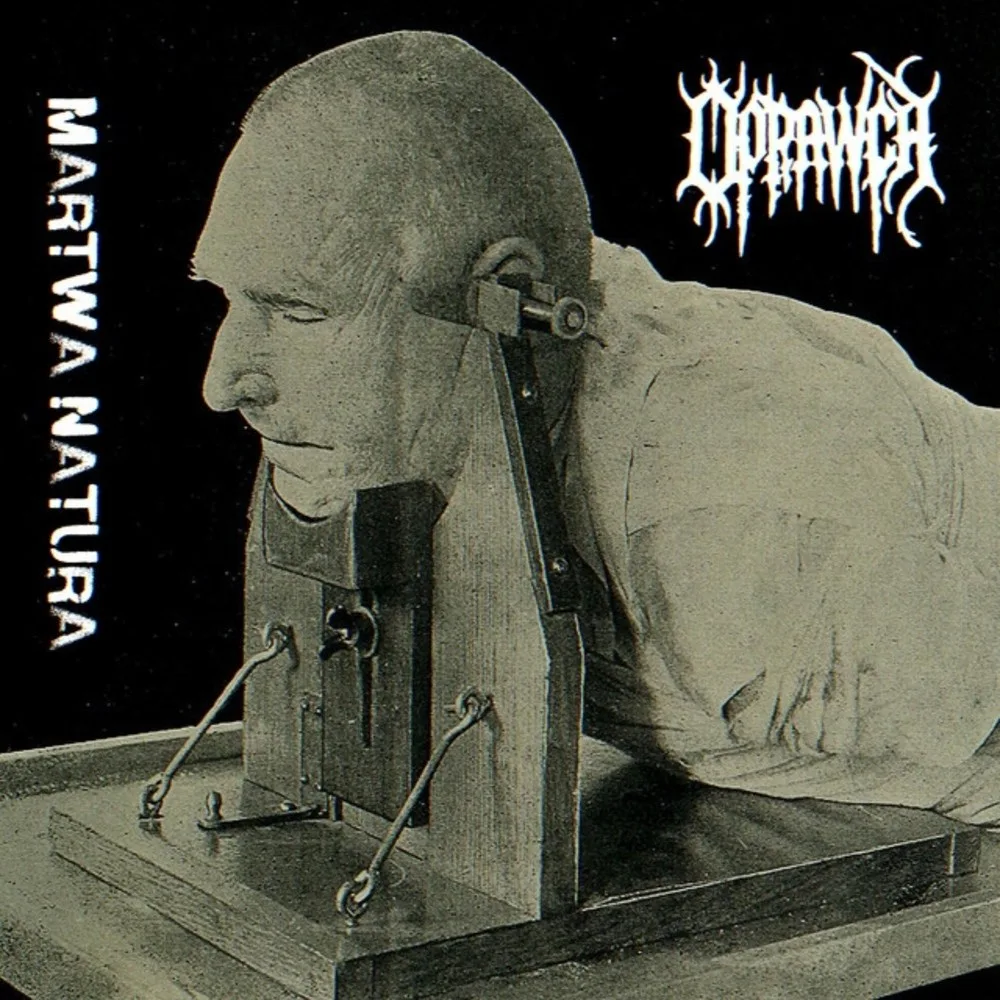 Martwa natura cover