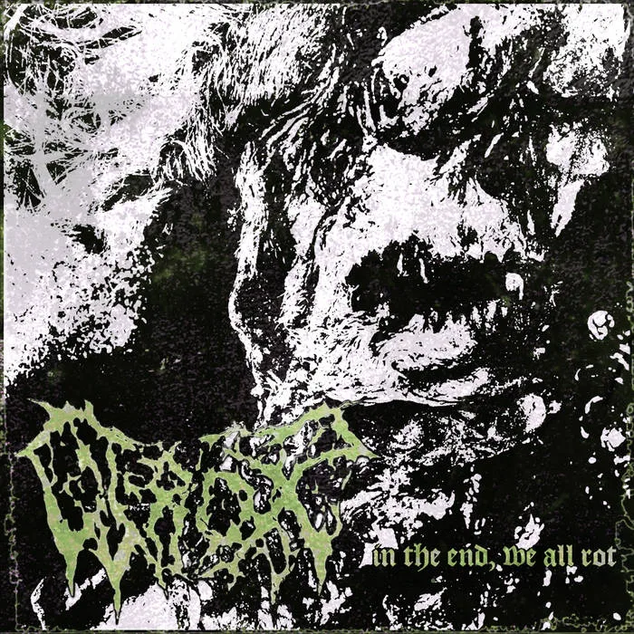 In the End, We All Rot cover