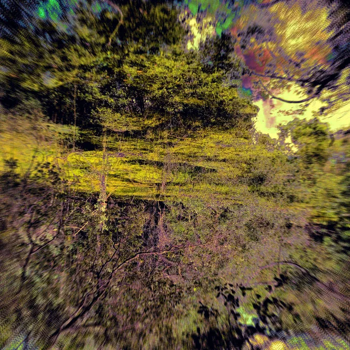 Stagnum Opus: Songs from the Bog cover