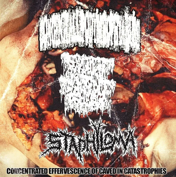 Concentrated Effeverscence of Caved in Catastrophies cover