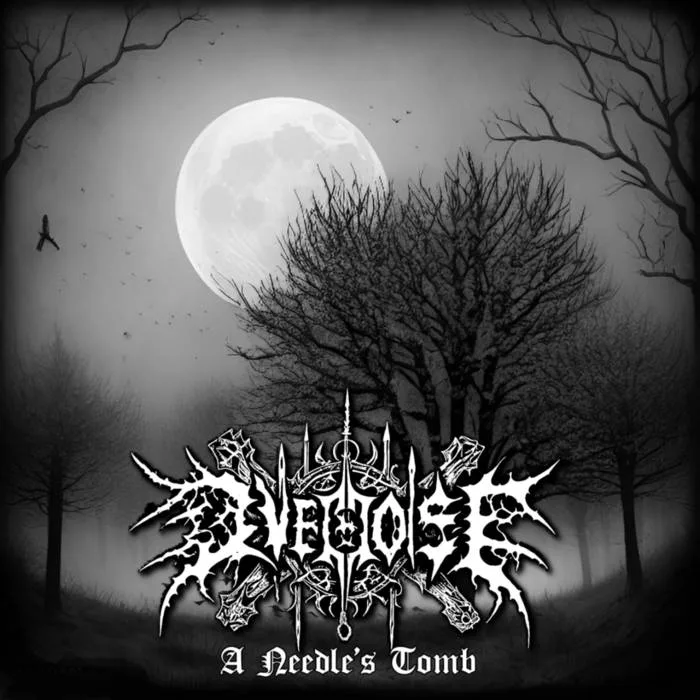 The Needle's Tomb cover