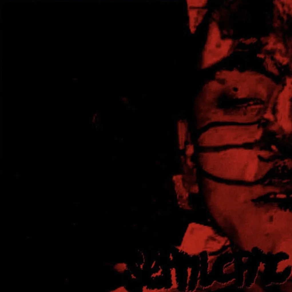 Septileptic cover