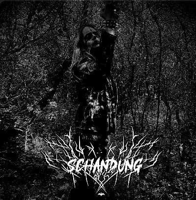 Nocturnal Realms cover