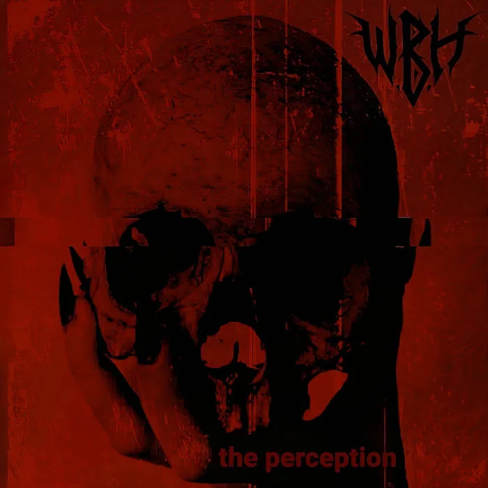 The Perception cover